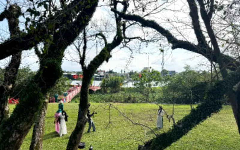 Vườn Sưa Cổ Thụ Hương Trà - Điểm Check-in Lý Tưởng Dịp Cận Tết Bính Ngọ