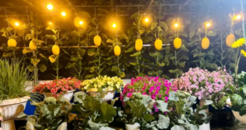 Vườn sân thượng 50m² của mẹ đảm TP.HCM: Xanh mướt rau trái, dưa lưới sai lúc lỉu