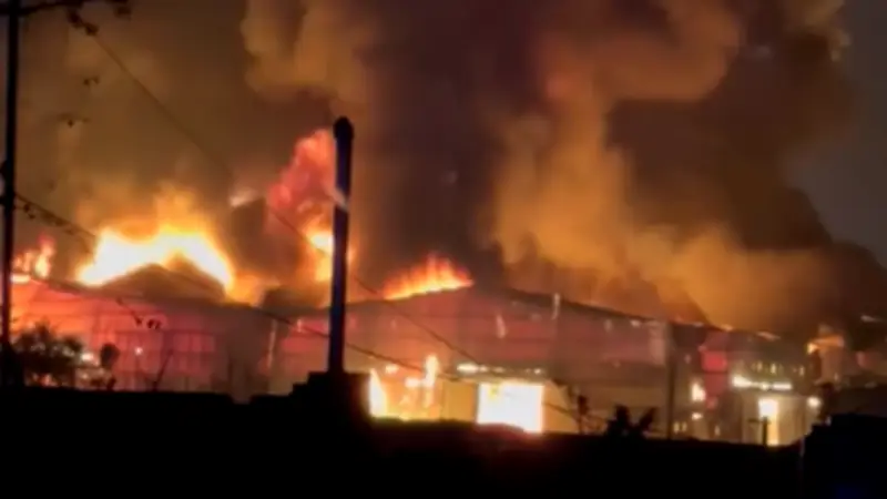 VnE-GO Công Bố Danh Sách Thiết Bị Hỗ Trợ Trải Nghiệm Short Video Tối Ưu