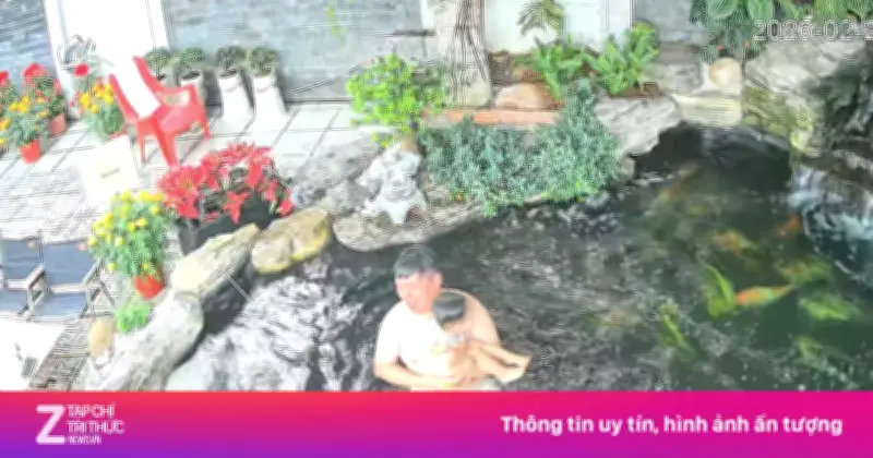 Vòng Dụt 2 Bố Con Ngã Xuống Hồ Cá Koi Trăm Triệu Gây Thót Tim