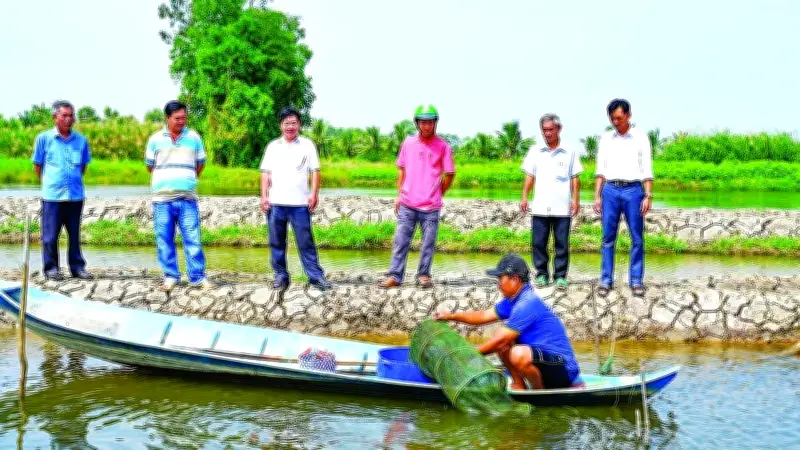 Vĩnh Thuận: Hình mẫu nông thôn số, nông nghiệp xanh bứt phá ở An Giang