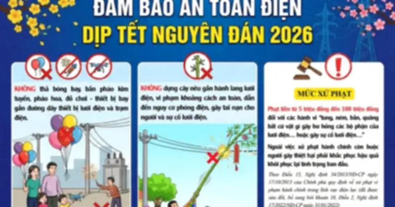 Cảnh báo nguy cơ điện giật từ cây nêu, đèn trang trí dịp Tết