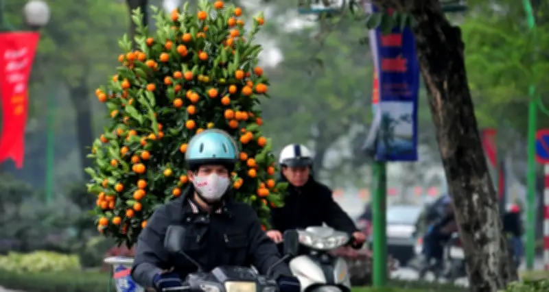 Dự báo thời tiết 11/2/2026: Hà Nội sáng mưa nhỏ rải rác, nhiệt độ cao nhất 22 độ