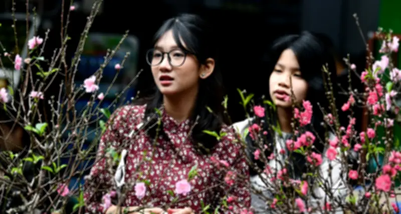 Dự báo thời tiết 10/2/2026: Miền Bắc có mưa vài nơi, nhiệt độ tăng cao đến 20 độ C