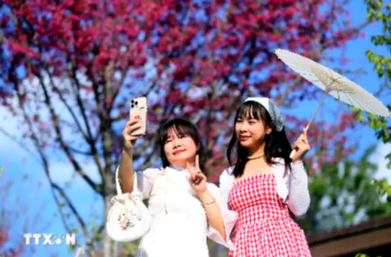 Thời tiết Tết Nguyên đán Bính Ngọ 2026 dự báo thuận lợi cho các hoạt động du xuân