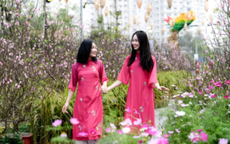 Dự báo thời tiết Tết Bính Ngọ 2026: Miền Bắc hửng nắng, cả nước thuận lợi