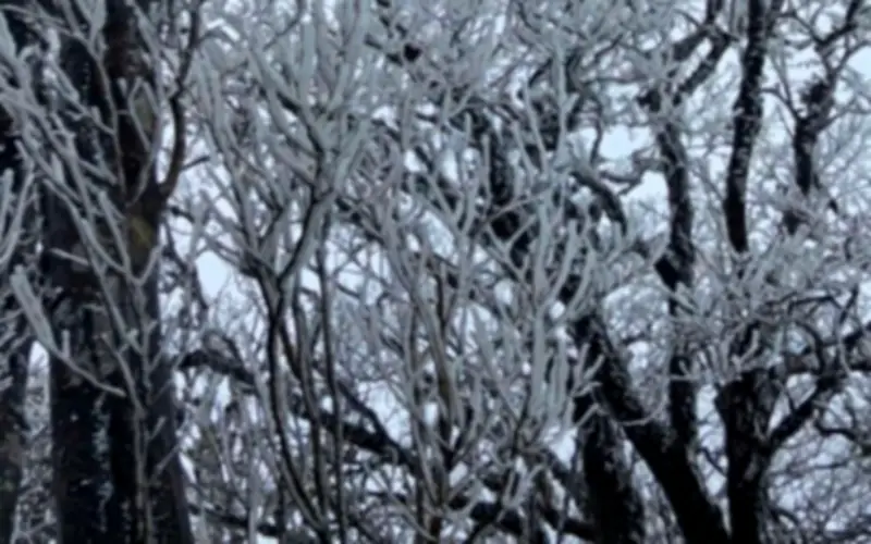 Dự báo thời tiết 10 ngày tới: Miền Bắc ấm dần, cả nước có mưa rải rác