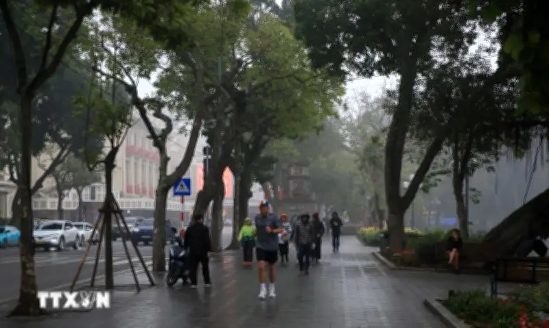 Thời tiết ngày 11/2: Nền nhiệt tăng, thời tiết ẩm dần ở Bắc Bộ, Bắc Trung Bộ