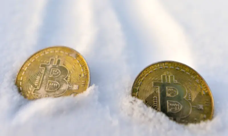 Đồng tiền số là gì? Tìm hiểu về mùa đông tiền số và tương lai tiền ảo