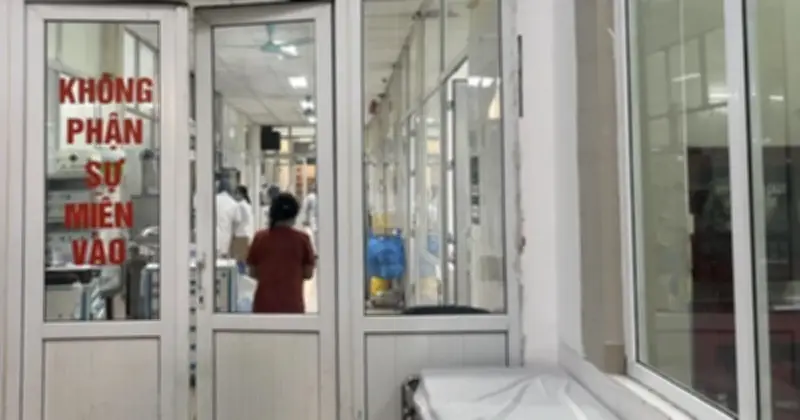 WHO cảnh báo nguy cơ cúm gia cầm tăng cao dịp Tết Nguyên đán