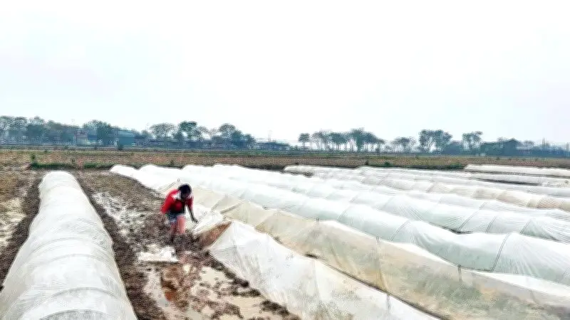 Cấp nước vụ đông xuân đạt 90,8%, Hà Nội và các tỉnh phía Bắc đẩy mạnh giải pháp bổ sung