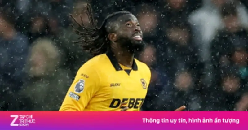 Wolves lên án mạnh mẽ hành vi phân biệt chủng tộc nhắm vào tiền đạo Tolu Arokodare