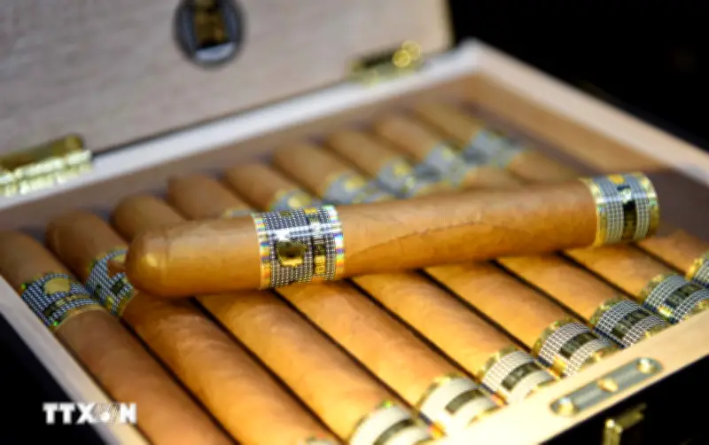 Xì gà Cuba: Động lực kinh tế và biểu tượng văn hóa đặc sắc của đảo quốc