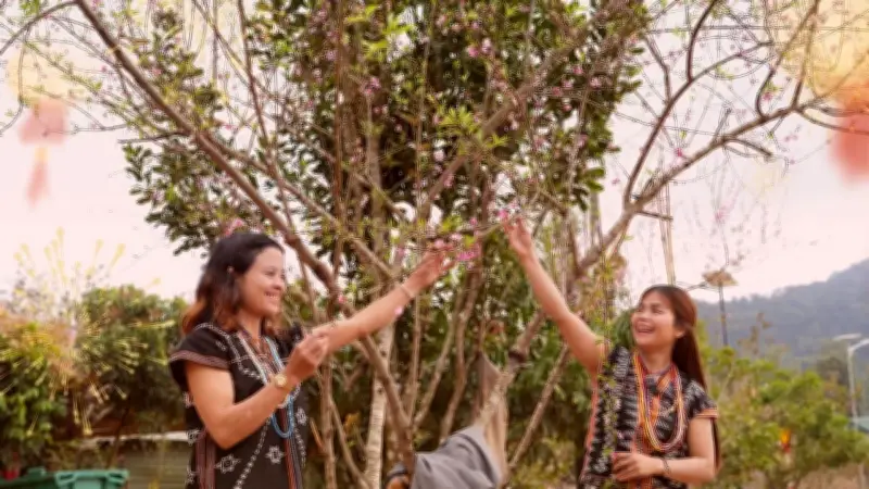 Xã Hùng Sơn vượt qua sạt lở, đón xuân ấm áp với 'Xuân Biên phòng - Ấm lòng dân bản'