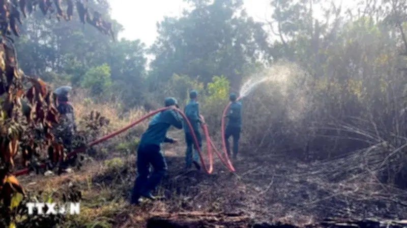 Xử lý nghiêm tội phạm gây cháy 26ha rừng thông ven Quốc lộ 28 ở Lâm Đồng