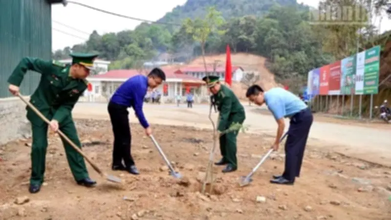 Xã Phiêng Pằn ra quân trồng 999 cây bàng Đài Loan dọc tuyến đường 9km