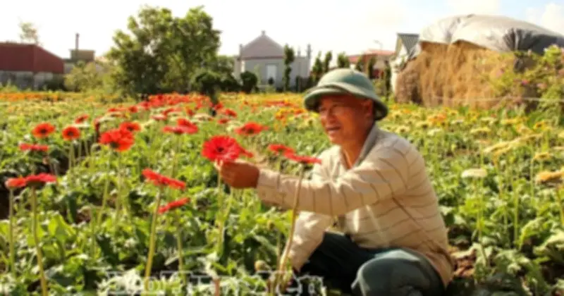Xã Tiên Hưng: Điểm nóng sản xuất hoa cây cảnh phục vụ Tết với doanh thu tỷ đồng