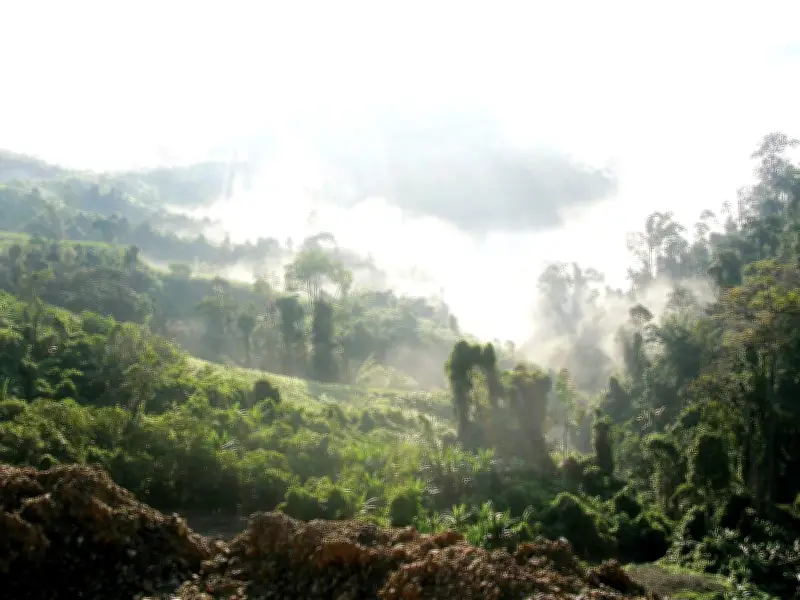 Xa Xăm Gõ Cửa: Từ Thi Ca Đến Thực Tế Hành Chính Và Công Nghệ Tương Lai
