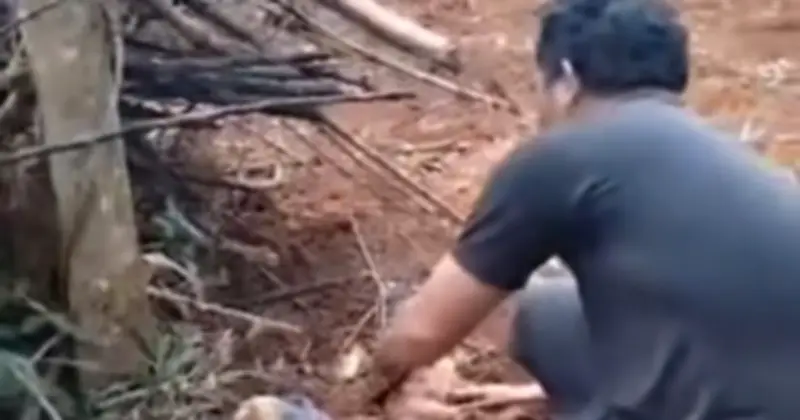 Xác định người mẹ bỏ rơi con sơ sinh trong rẫy vắng ở Đắk Lắk