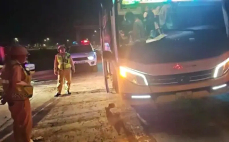 Xe khách 26 chỗ chở 34 người bị phạt 60 triệu đồng trên cao tốc Vĩnh Hảo - Phan Thiết