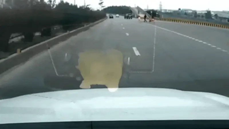 Xe ô tô phanh gấp tránh em bé chạy băng qua đường trên quốc lộ