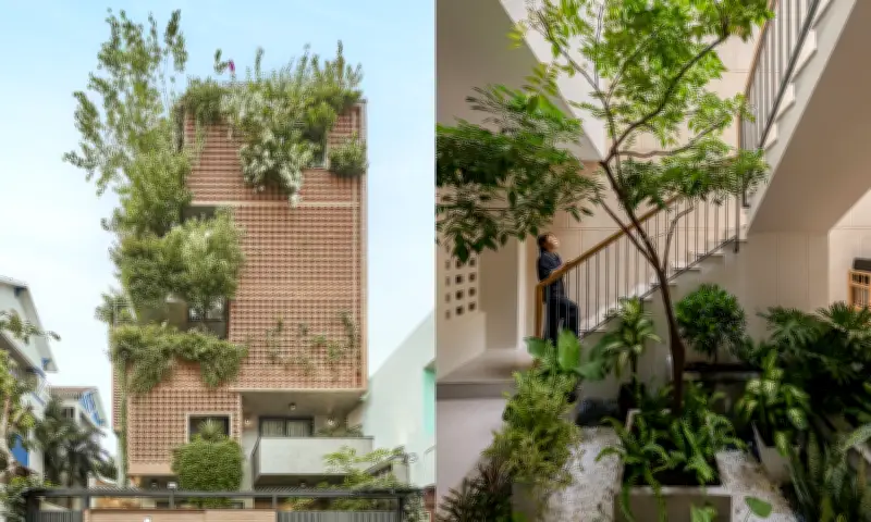 Xu hướng 'hệ sinh thái xanh' trong nhà phố: Giải pháp cải thiện vi khí hậu và chất lượng sống