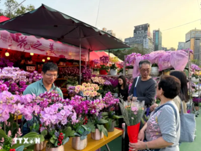 Xuân Bính Ngọ 2026: Hương Xuân Từ Chợ Hoa Tết Tại Hong Kong