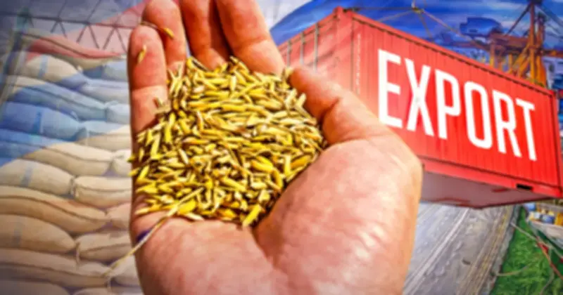 Xuất khẩu gạo Thái Lan sụt giảm mạnh, đối mặt với nguy cơ thấp nhất 5 năm