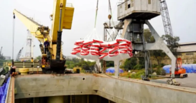 Xuất khẩu nông sản Việt khởi đầu năm 2026 đầy phấn khởi với nhiều tín hiệu tích cực