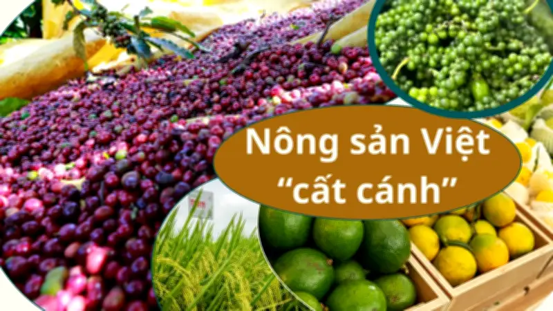 Xuất khẩu nông sản Việt Nam hướng tới mục tiêu 100 tỷ USD trong năm 2026