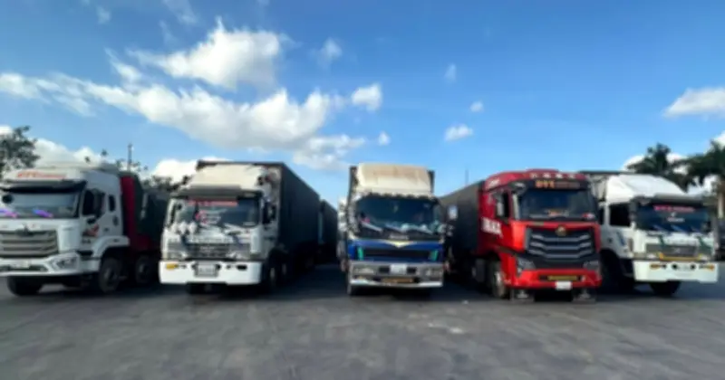 Xuất nhập khẩu khởi đầu năm mới thuận lợi tại cửa khẩu Quảng Trị