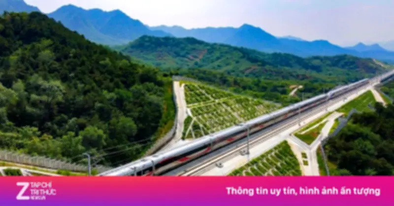 Đề xuất thành lập Tập đoàn Đường sắt Quốc gia Việt Nam từ năm 2026