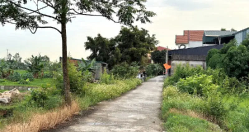 Xây nhà trên đất nông nghiệp: Xin cấp sổ đỏ có phải nộp lại số lợi bất hợp pháp?