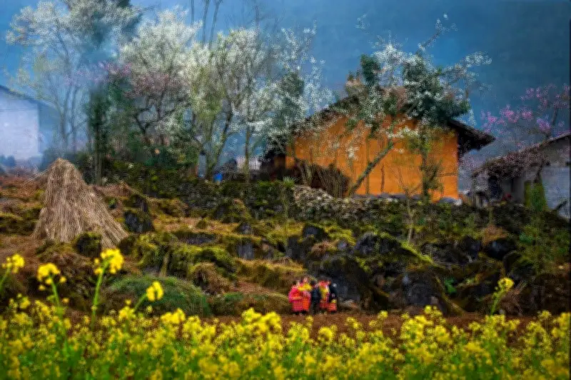 Yên Minh rực rỡ sắc xuân giữa Cao nguyên đá Đồng Văn