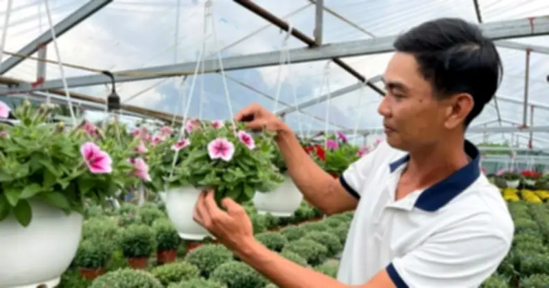 Người thanh niên Quảng Ngãi biến đất khô cằn thành vườn hoa triệu đô