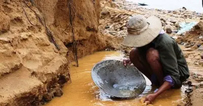 Làn Sóng Săn Vàng Bùng Nổ Trở Lại Tại Australia, Thu Hút Hàng Ngàn Người