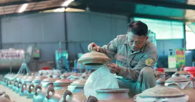 Nông dân Hà Tĩnh làm giàu nhờ trồng cây dưới tấm pin năng lượng mặt trời