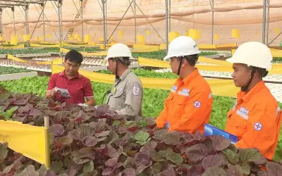 Lịch cúp điện Vĩnh Long từ 9-15/2/2026: Nhiều khu dân cư mất điện cả ngày