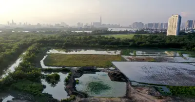 Hụt tiền mua đất, cư dân đứng ngồi không yên khi đất bị thu hồi