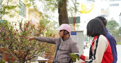 Đảo Thạch Thôn: Giá thuê nhà phố dịp Tết tăng vọt lên 200 triệu đồng