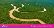 Sông Amazon: Bí ẩn của dòng sông không có cầu bắc qua