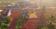 Choáng ngợp trước 'nhà máy' hoa Tết rộng bằng 1.400 sân bóng đá ở miền Tây