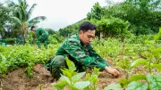 Bộ Đội Biển Đảo Tự Chủ Lương Thực: Vườn Rau Xanh Giữa Trùng Khơi