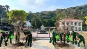 Bộ đội Biên phòng Cà Mau đồng loạt ra quân trồng hàng nghìn cây xanh