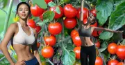 Bí quyết giảm 16kg trong 3 tháng: Ăn cà chua buổi sáng, vẫn thoải mái ăn ngoài