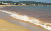 Bãi biển Bình Định xuất hiện dải nước đỏ dài hơn một km, nghi ngờ thủy triều đỏ
