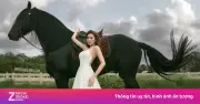Ngựa Đen 'Hot' Nhất TP.HCM: Chi 2 Triệu Đồng Cho 30 Phút Chụp Ảnh Đầu Xuân