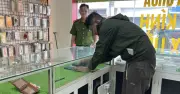 Bắt giữ nghi phạm trộm 51 điện thoại ở Gò Vấp, TP.HCM sau 3 giờ truy xét