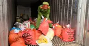 Bắt giam chủ xưởng trộn chất gây ung thư vào 2 tấn riềng xay tại Bắc Ninh
