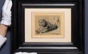 Bản vẽ sư tử của Rembrandt lập kỷ lục 18 triệu USD, tiền đấu giá dành cho bảo tồn động vật hoang dã